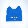 Blue Baby Cute Embroidered Cat Ear Hat