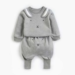 Baby Cartoon Animal Pattern Hoodie Combo Big PP Pants Sets (Size/Age: 73 (6-9M))