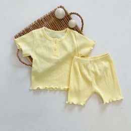 Baby Girl Solid Candy Color Top Combo Solid Pants In Sets (Size/Age: 90 (12-24M))